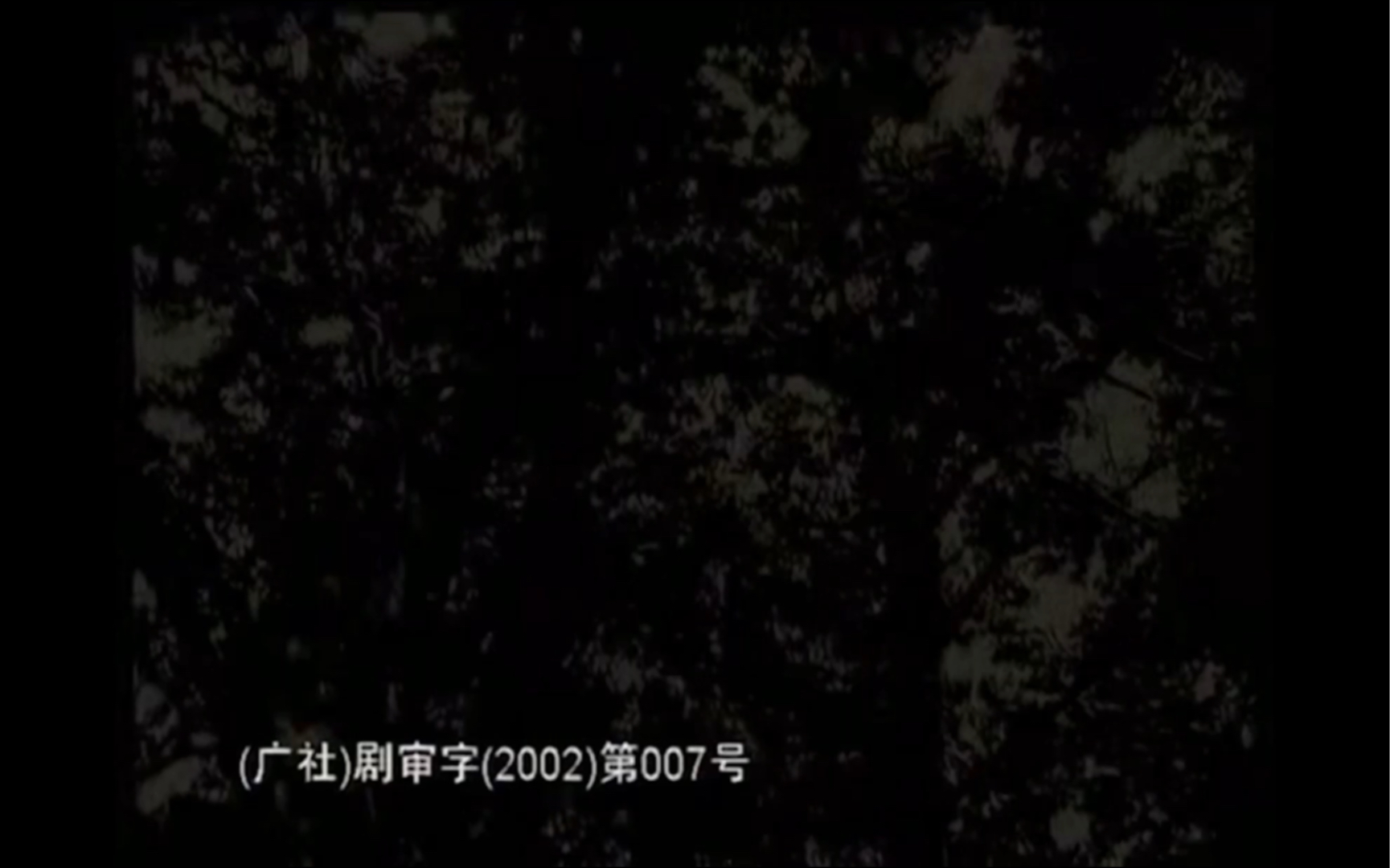 2002年电视剧《梧桐雨》片头歌曲欣赏~哔哩哔哩bilibili