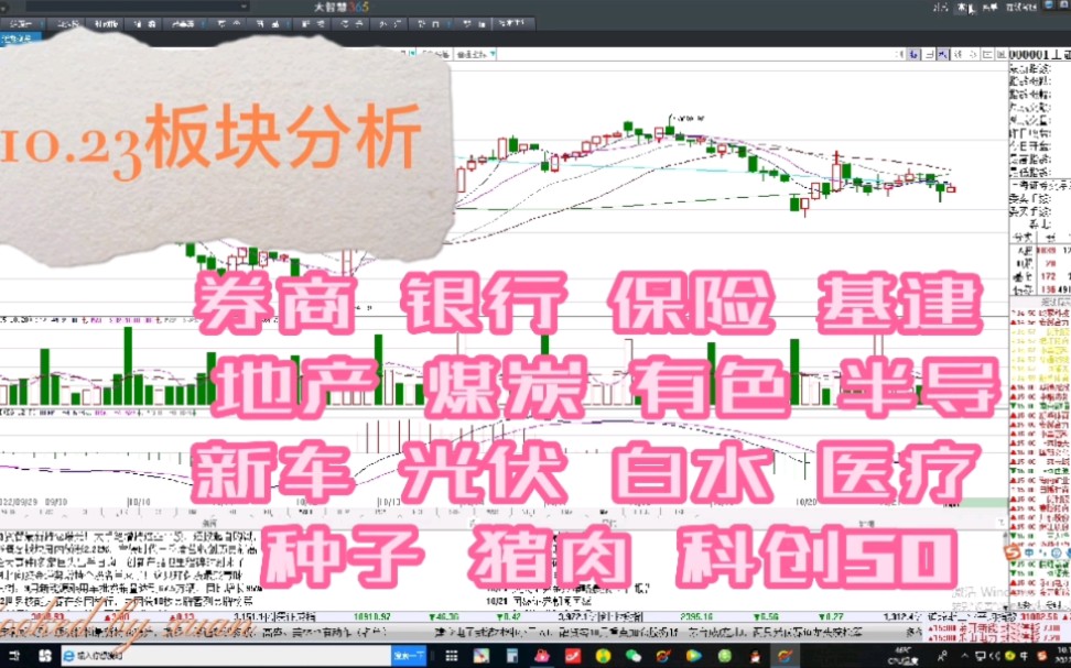 10.23板块分析:券商 银行 保险 基建 地产 煤炭 有色 半导新车 光伏 白水 医疗 种子 猪肉 科创50哔哩哔哩bilibili