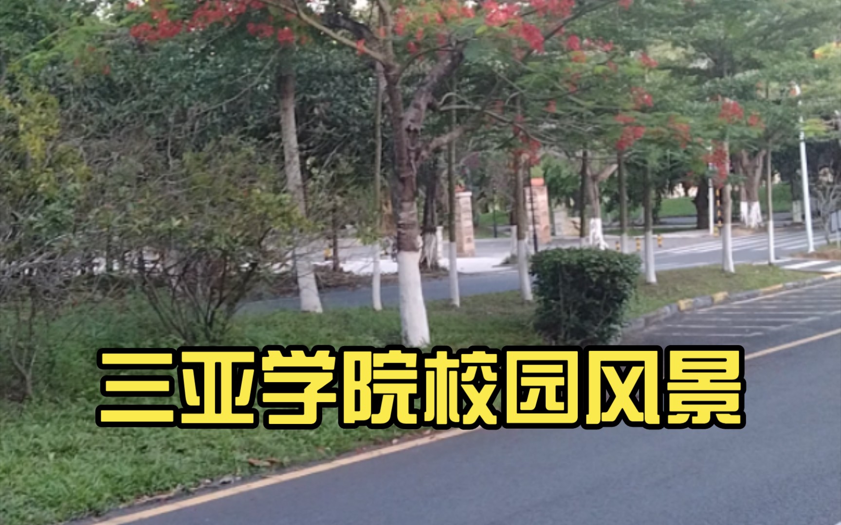 [图]三亚学院校园风景