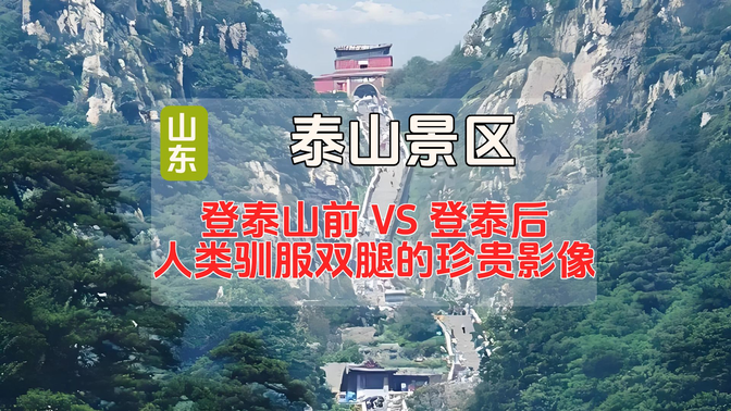 2025年游泰山:登泰山前 VS 登泰山后:人类驯服双腿的珍贵影像 2025年游泰山:登泰山前 VS 登泰山后:人类驯服双腿的珍贵影像
