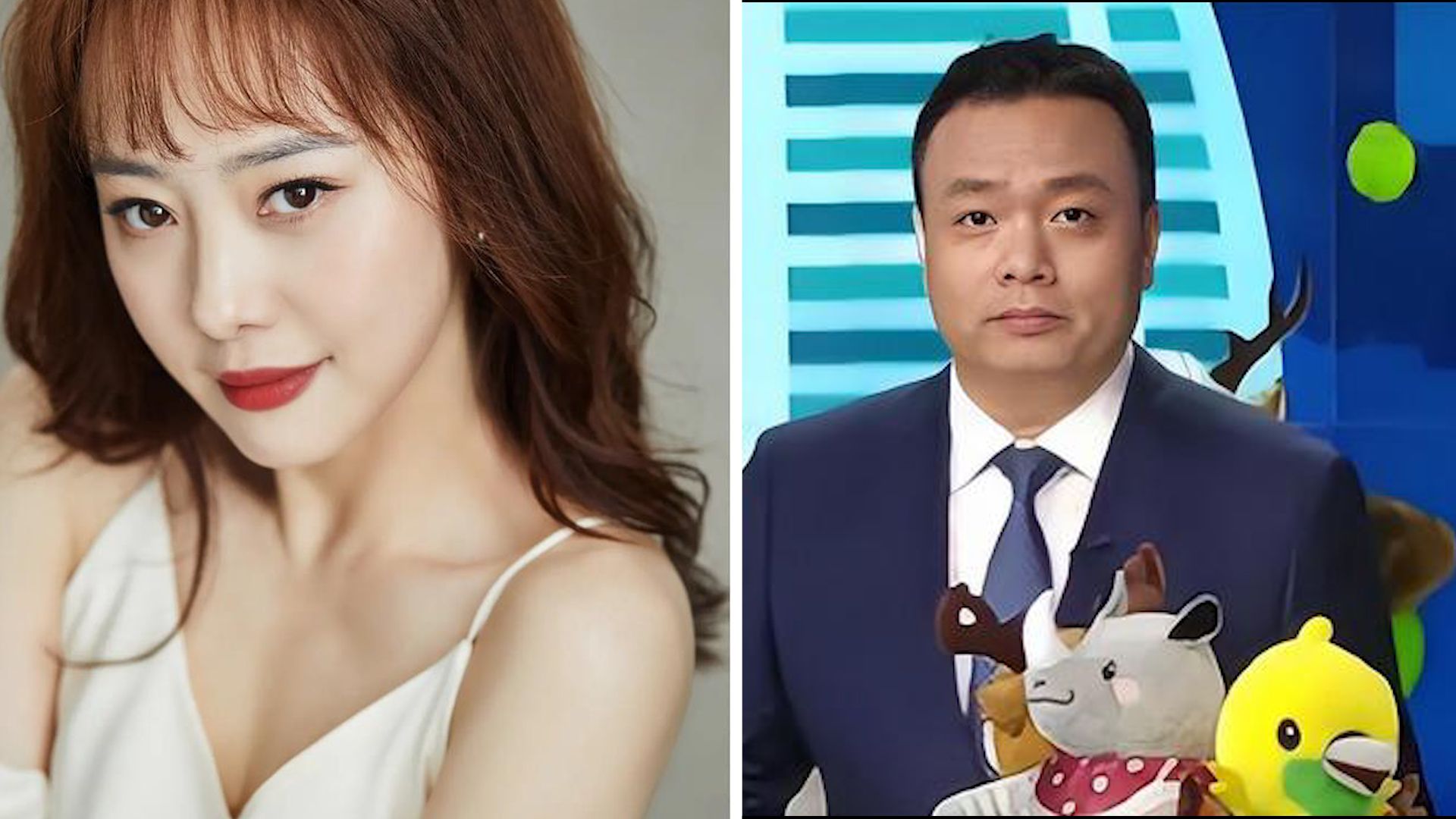 突发!刘园媛与央视主持人沙桐离婚,结婚13年疑似多年无性生活