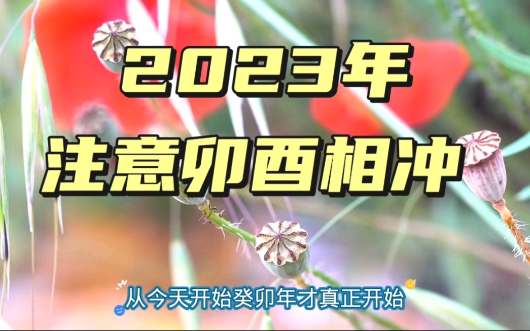 [图]2023年，你一定要注意卯酉相冲，防意外