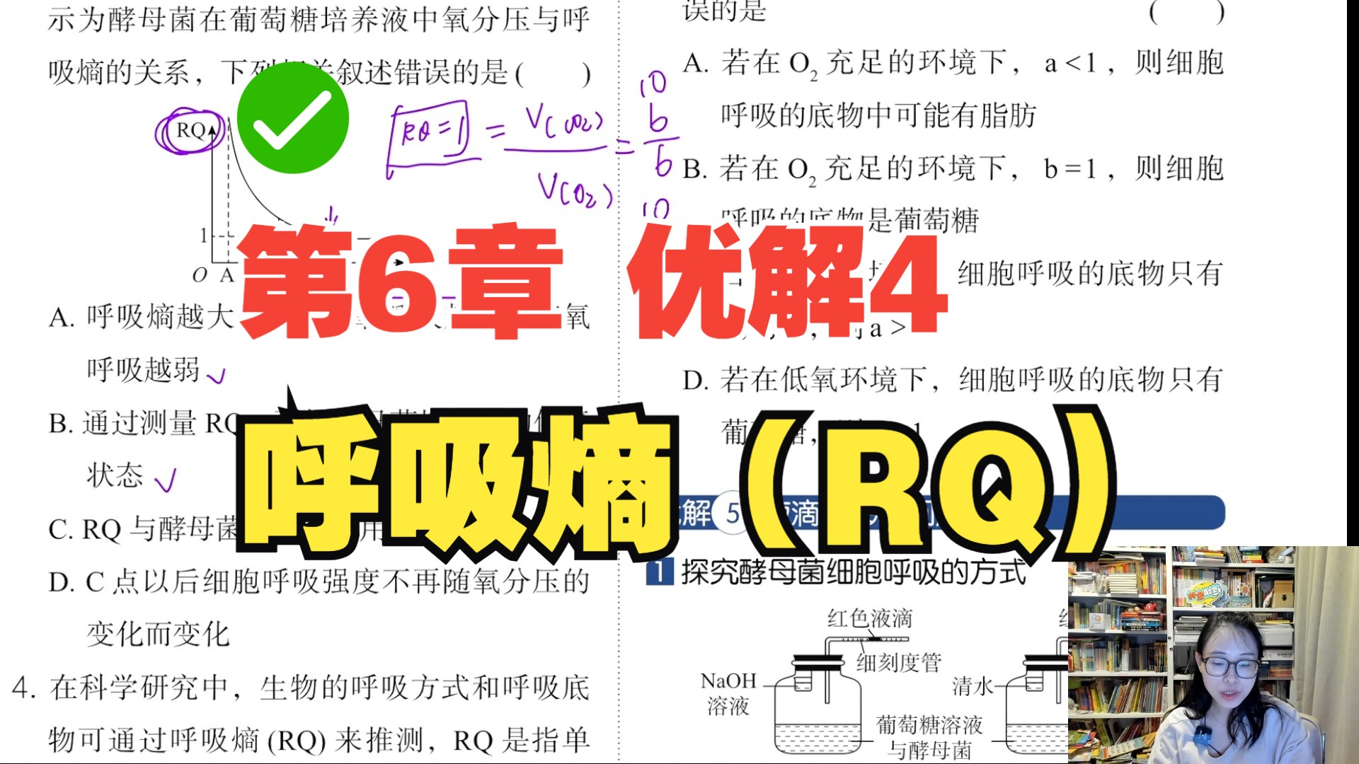 第6章 优解4 呼吸熵(RQ)哔哩哔哩bilibili