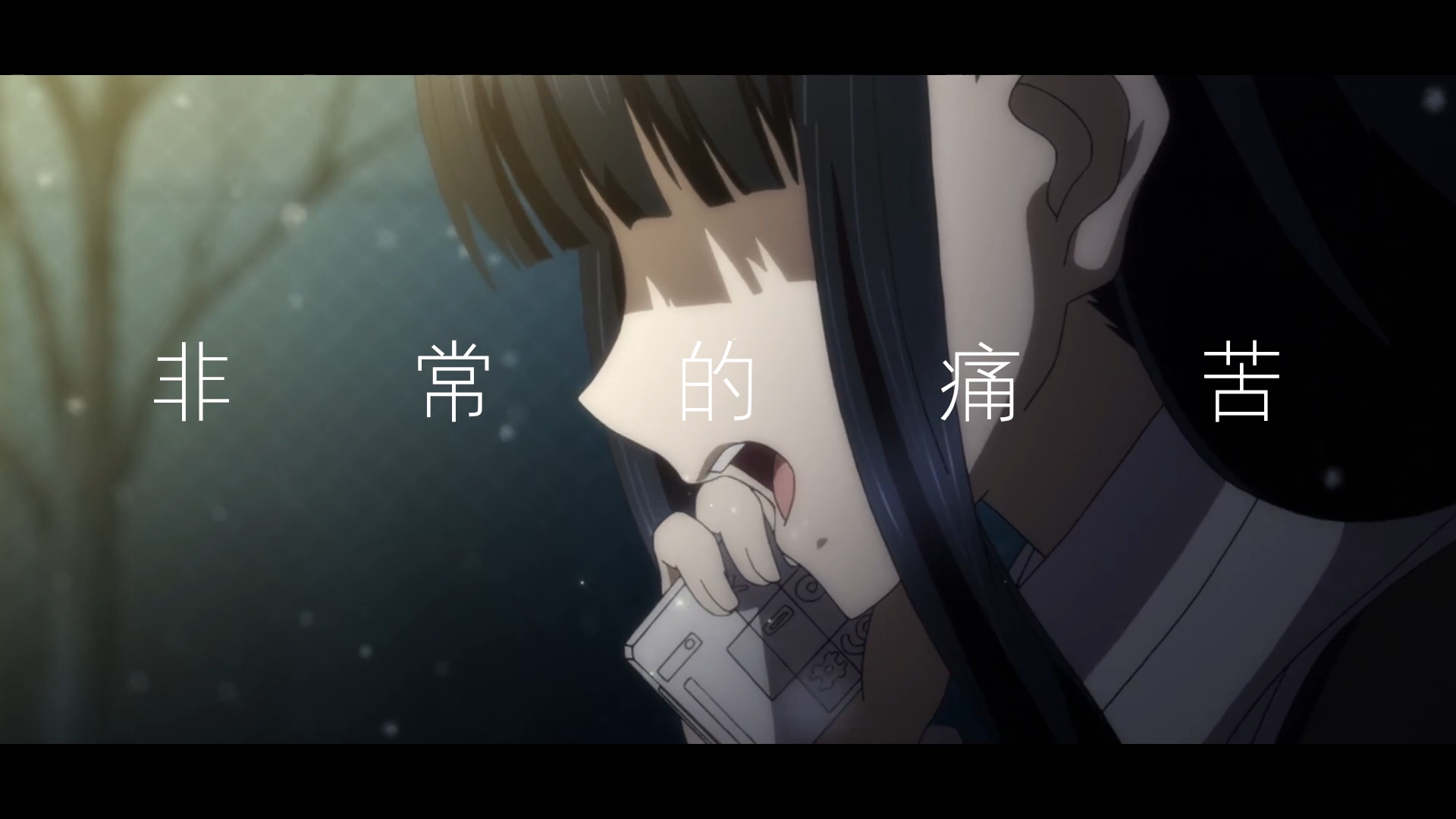 【白色相簿2[冬马党 传达得到的爱恋