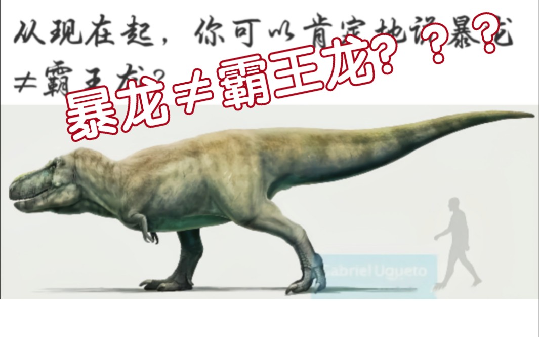 驳“暴龙≠霸王龙”:论“霸王龙”一词究竟是属名(Tyrannosaurus)还是种名(Tyrannosaurus rex)?哔哩哔哩bilibili