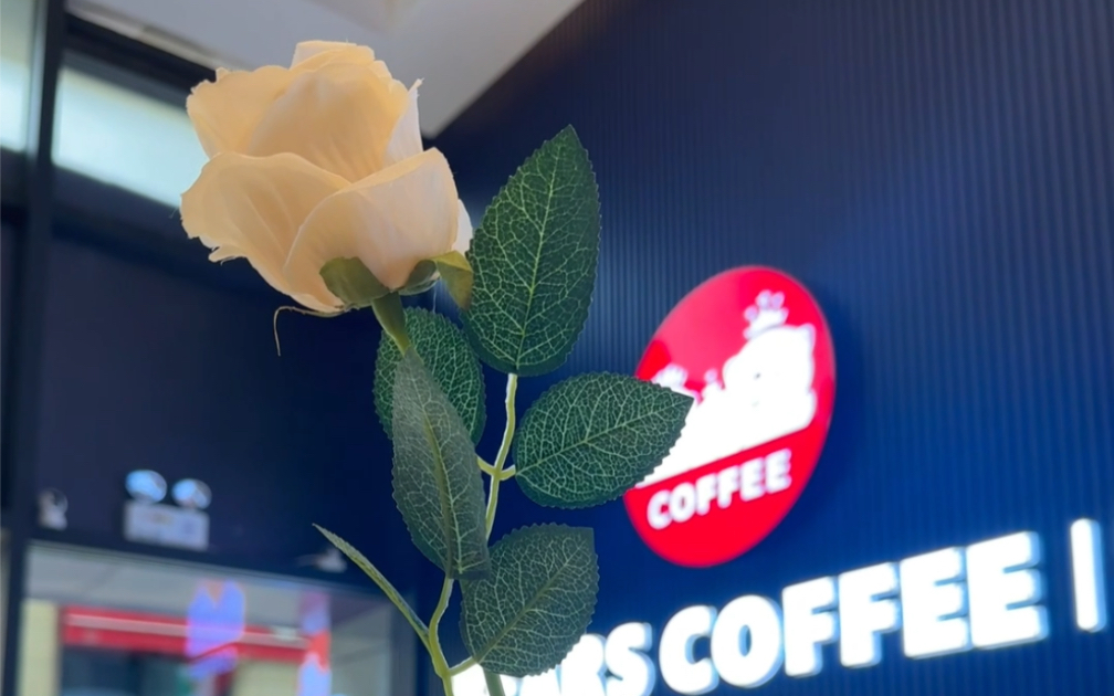 开一家属于自己的咖啡店,就选星泰勒咖啡,2.