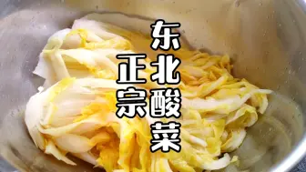 Tải video: 东北酸菜这样腌制，简单好做易成功酸味正，放一年都不坏