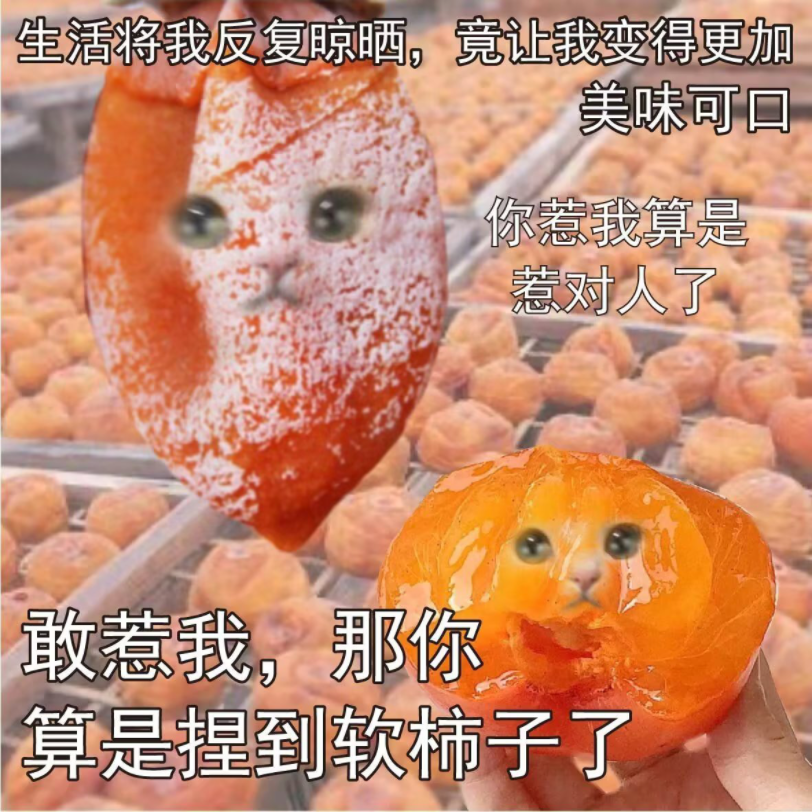 捏软柿子经典语录图片