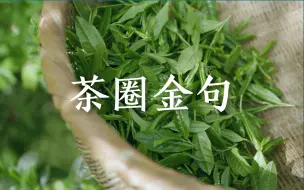 下载视频: 茶圈的5条金句，读懂已是茶道中人