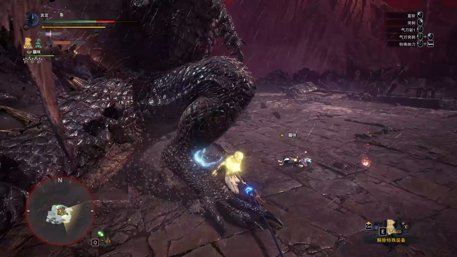 怪物猎人菜鸟黑龙