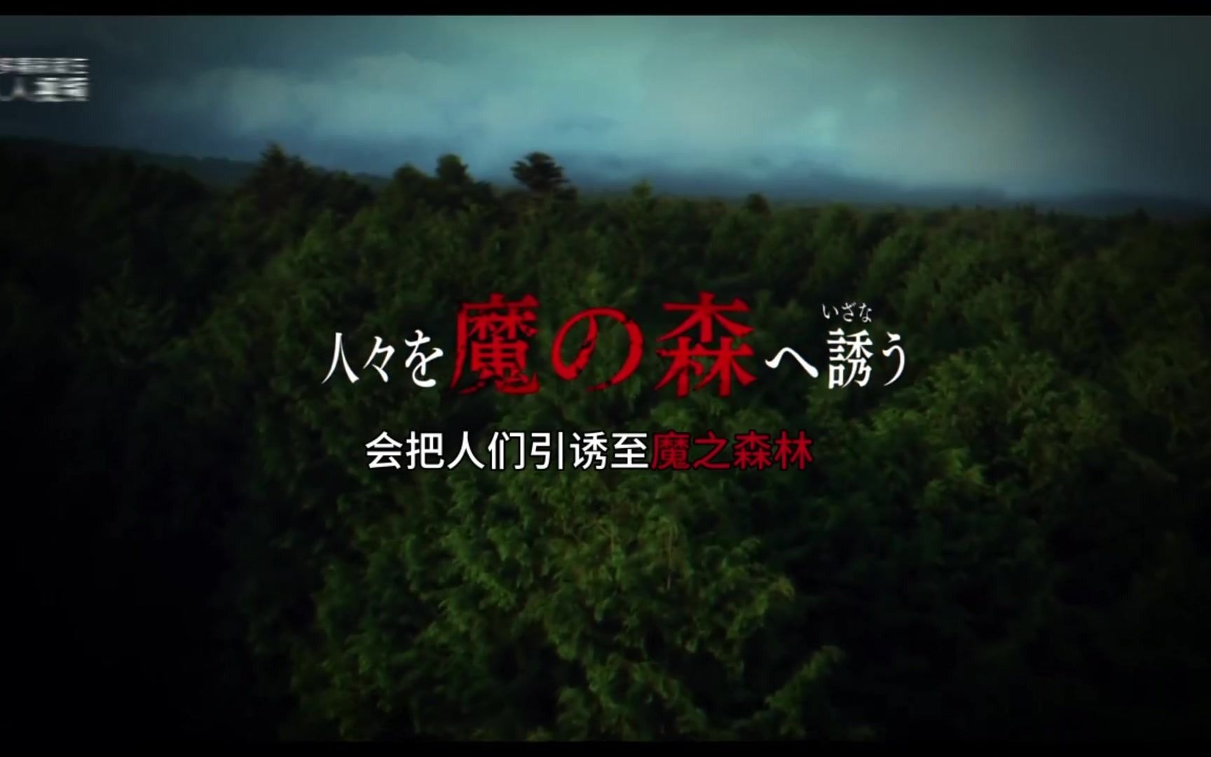 胆小勿进咒怨导演清水崇恐怖新作树海村发布最新预告
