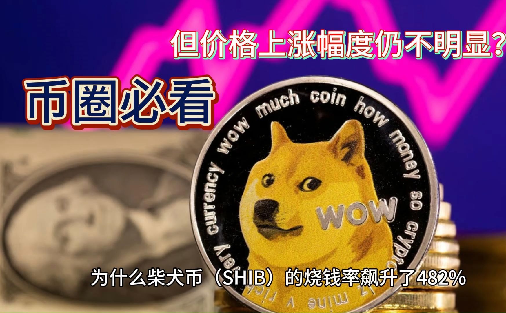 柴犬币最新价格及图片图片