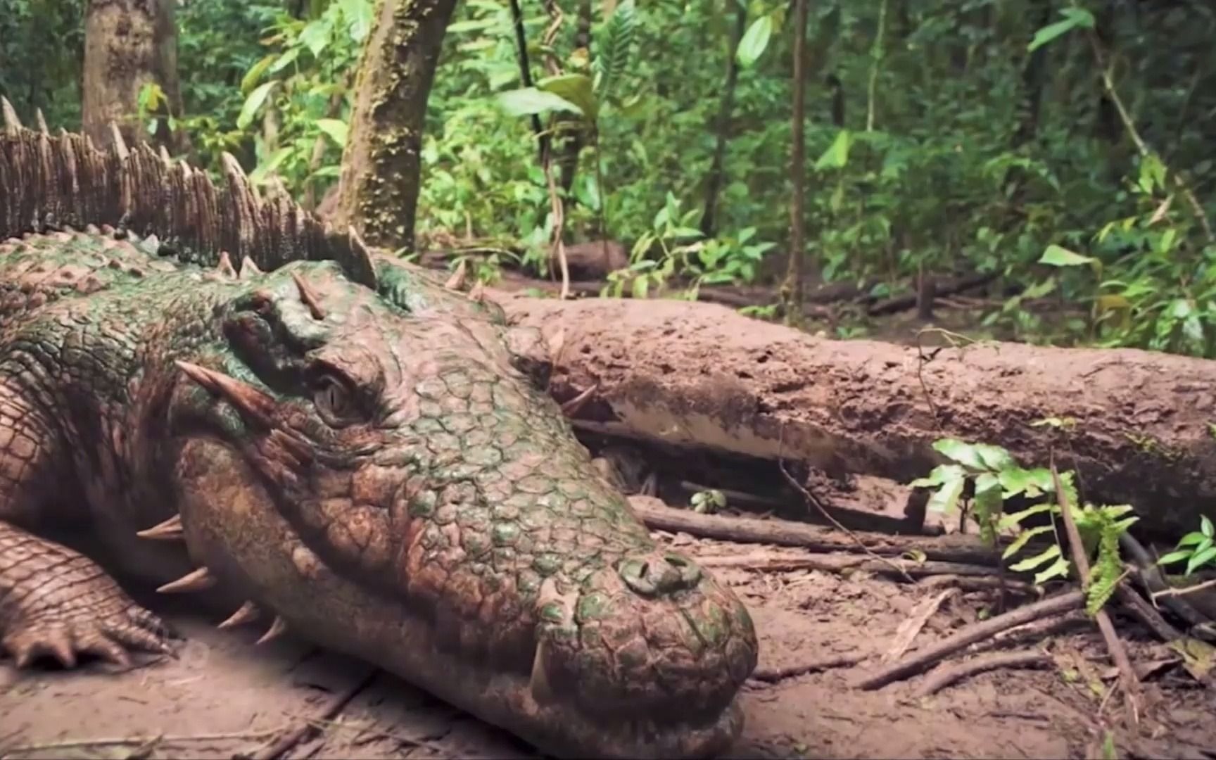 【盘点异变的动物】会隐身的鳄鱼防不胜防,你觉得哪个更奇葩?