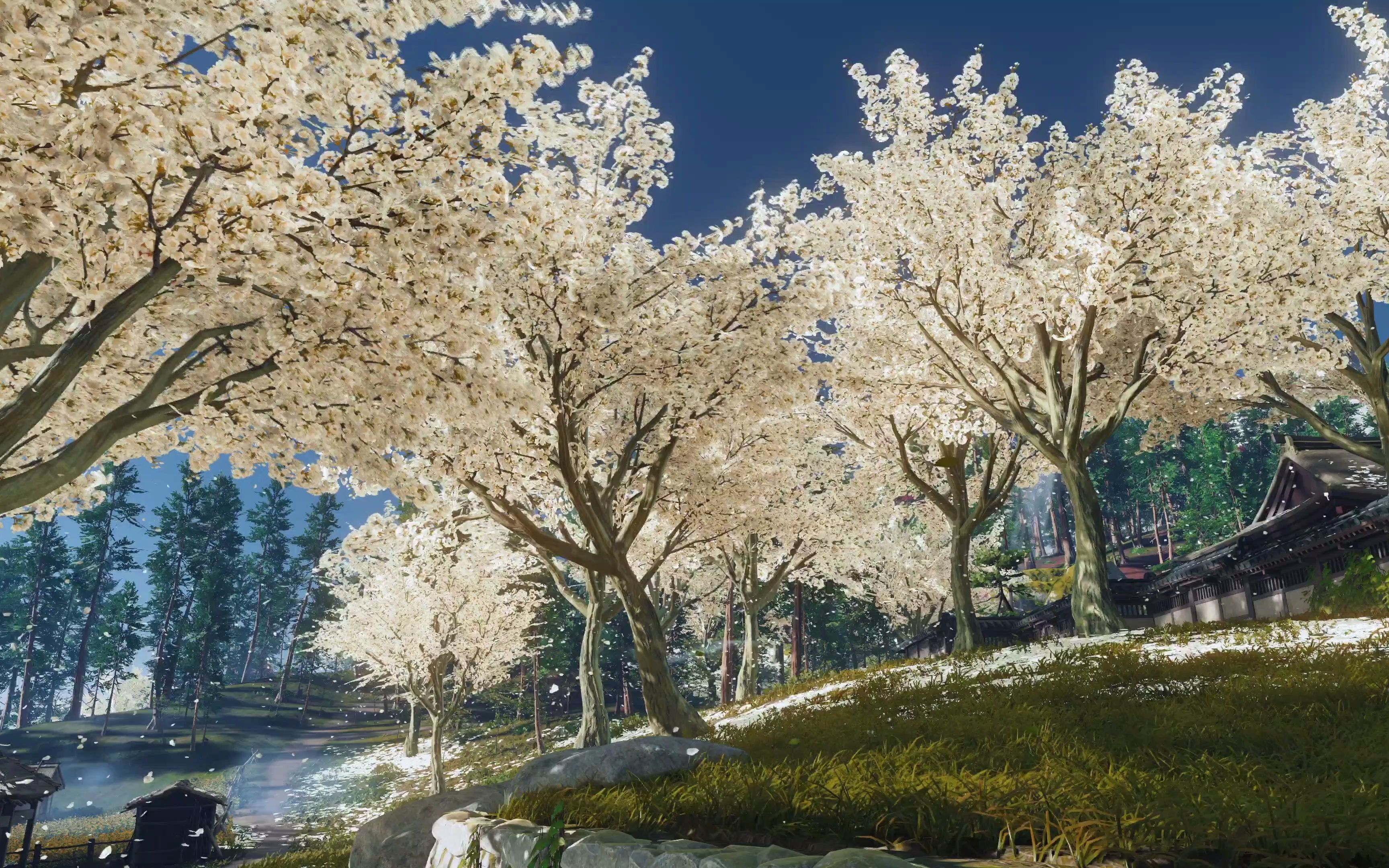 ps5对马岛之魂风景大赏4k60帧hdr10 elgato4k60s obs无损高码率录制