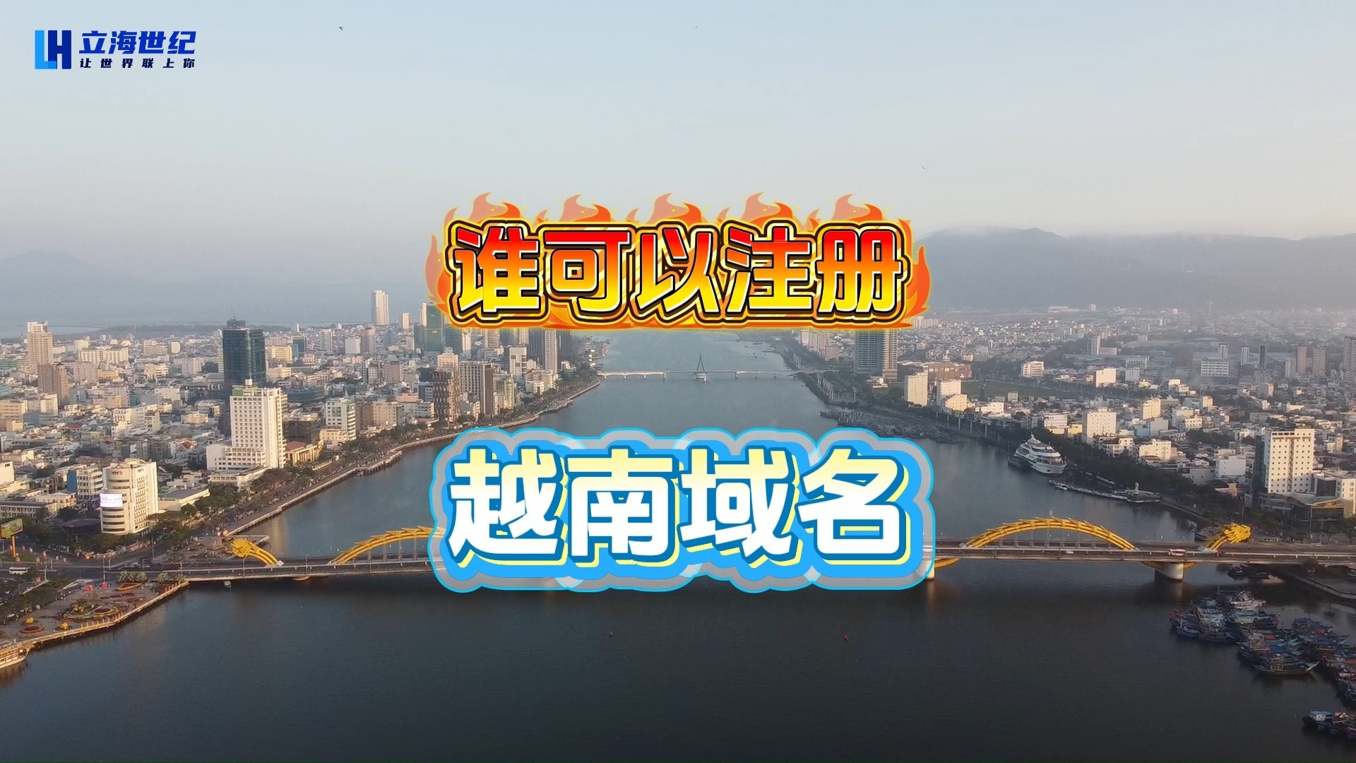 谁可以注册越南域名、.VN域名?