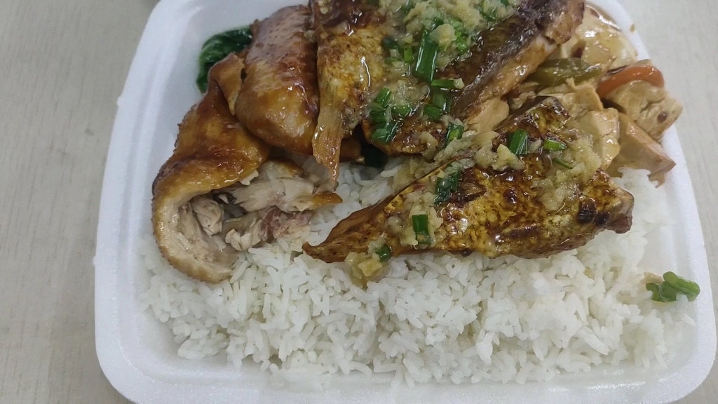 记录佛山南海雷岗快餐店15元