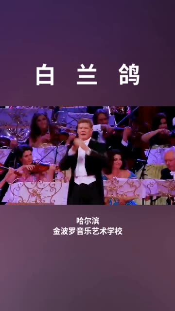 白兰鸽,荷兰歌曲,安德烈瑞欧,约翰施特劳斯乐团,世界名曲