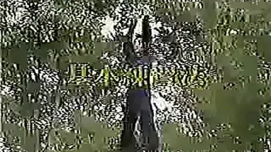 八卦遊身掌　王樹金 王树金-哔哩哔哩_Bilibili