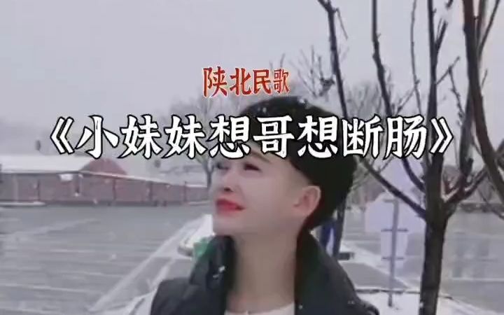 [图]陕北民歌 马美如《小妹妹想哥想断肠》