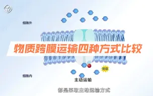 Tải video: 四种跨膜运输比较