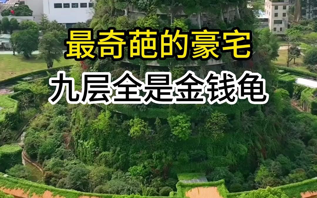 [图]见过乌龟住的高楼大厦吗，小镇上的一道风景线