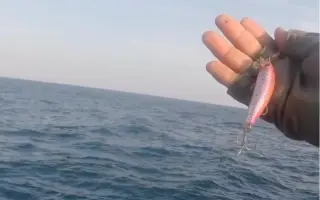 巴鲣 搜索结果 哔哩哔哩 Bilibili 巴鲣 搜索结果 哔哩哔哩 Bilibili