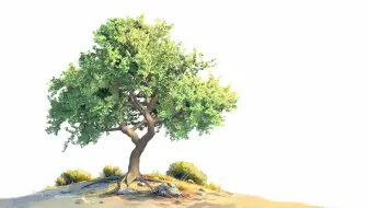 【中字】SpeedTree&Blender 制作电影感动漫树