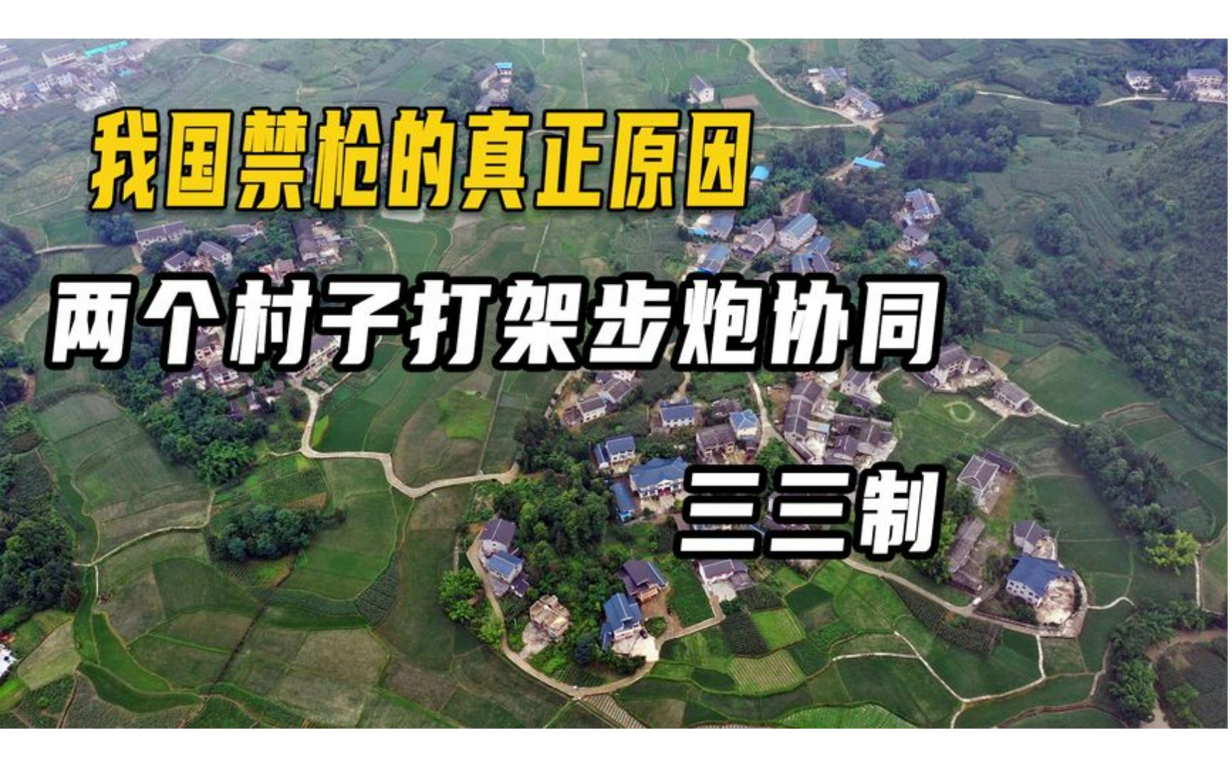 我国禁枪的真正原因!1993年两村械斗,5000人步炮协同还搞三三制哔哩哔哩bilibili