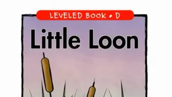 「不用词汇书背单词」Episode 434：Little Loon