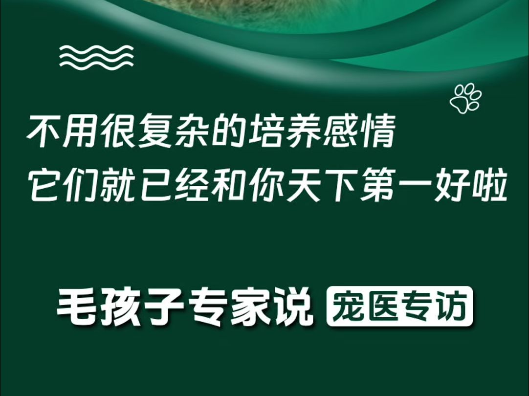 世界动物日,不爱,请别伤害.善待动物,尊重生命.哔哩哔哩bilibili