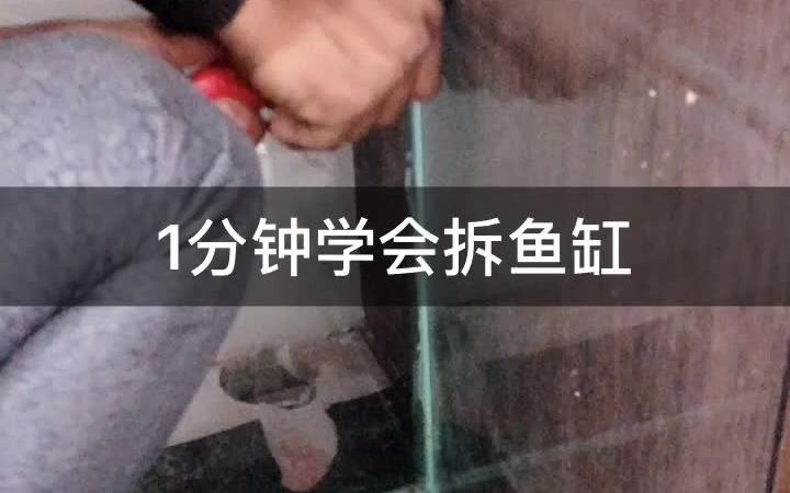 1分钟学会拆鱼缸哔哩哔哩bilibili