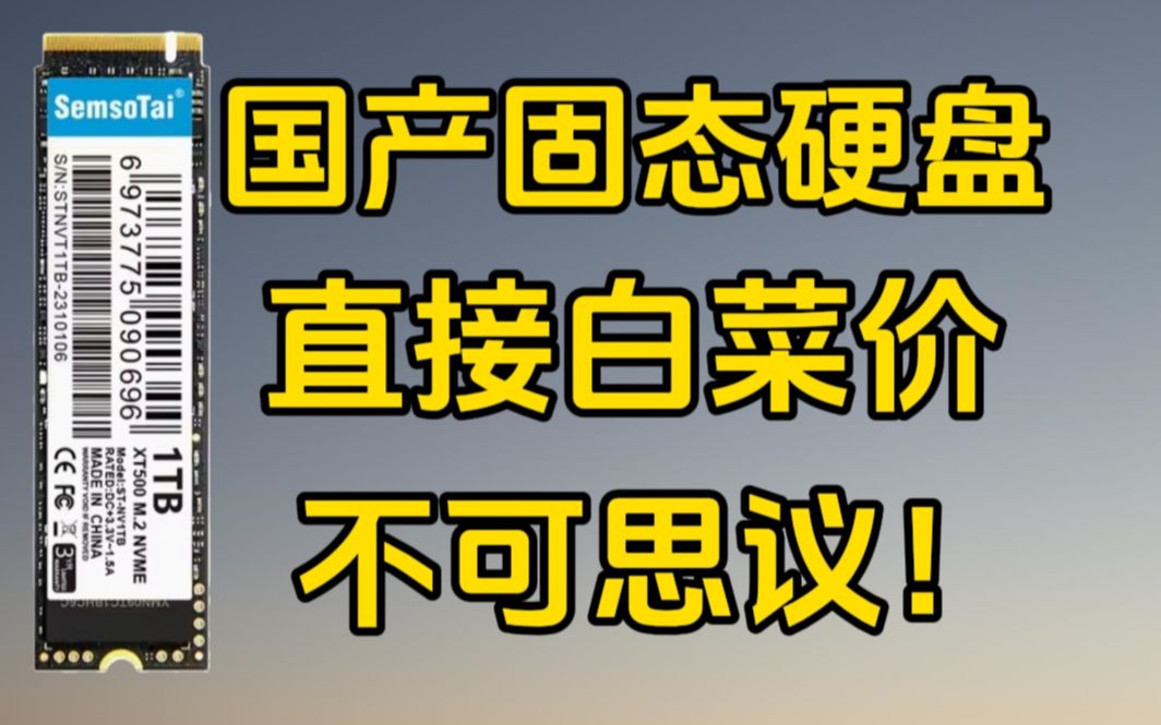 299元的国产固态硬盘,让疯狂涨价的国外厂商直接闭嘴了!哔哩哔哩bilibili