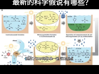 生命是如何在地球上起源的?最新的科学假说有哪些?生命在地球上的起源是一个复杂且仍在 研究中的科学问题.目前的科学假说主 要围绕化学进化和外部...