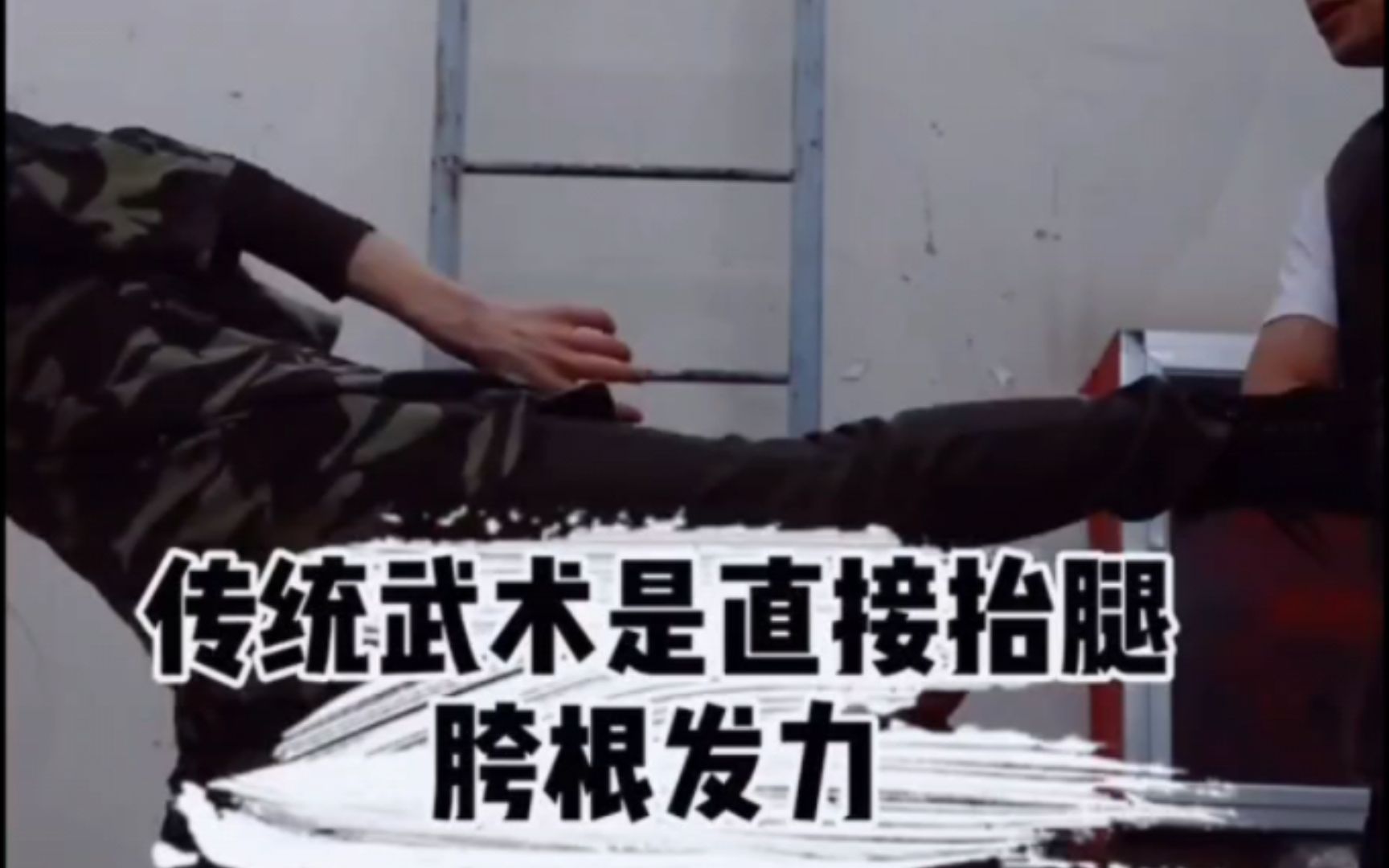 侧踹腿与驴踢腿93 (传统武术的发力)