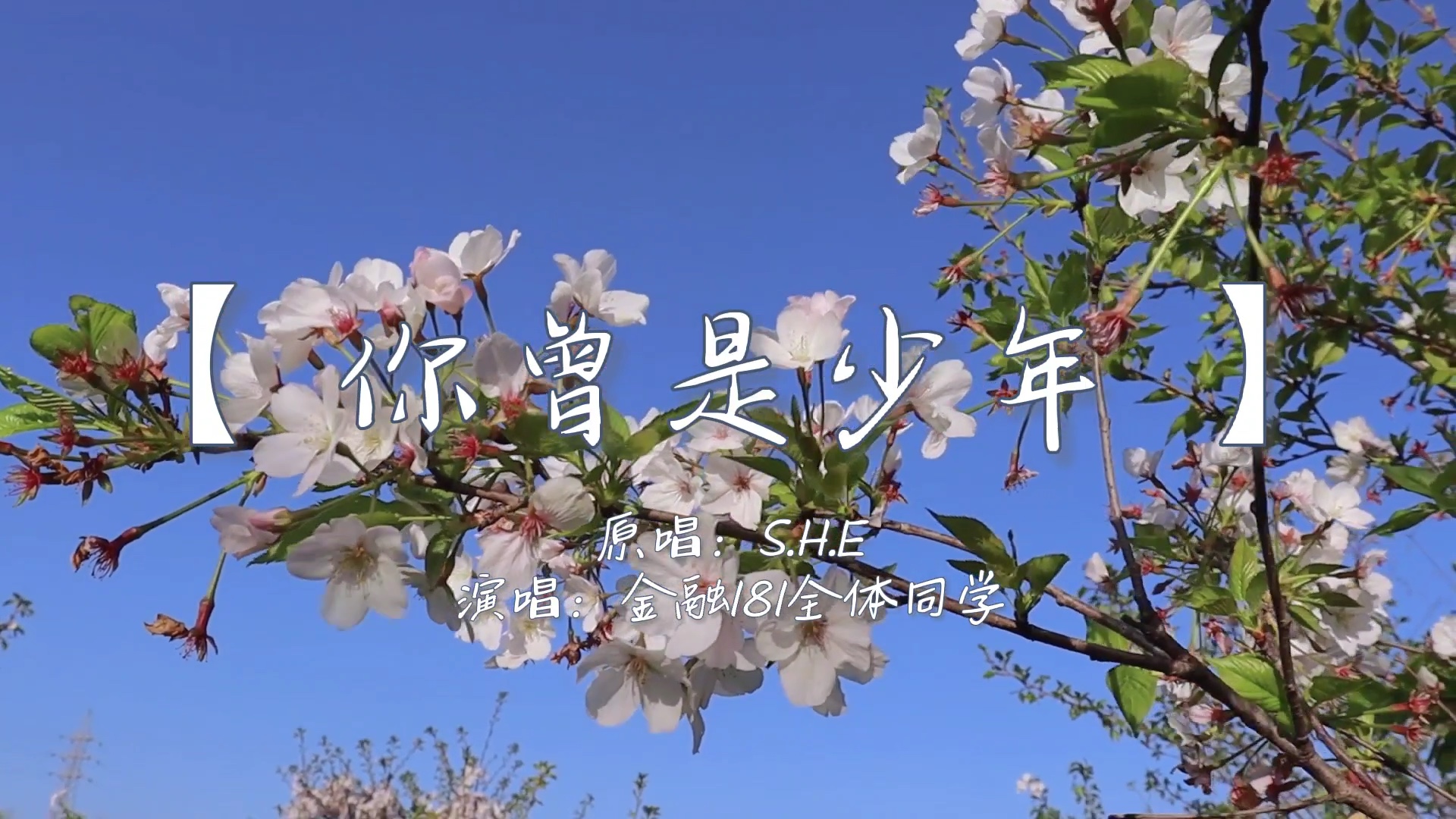 愿我们前程似锦 归来仍是少年!