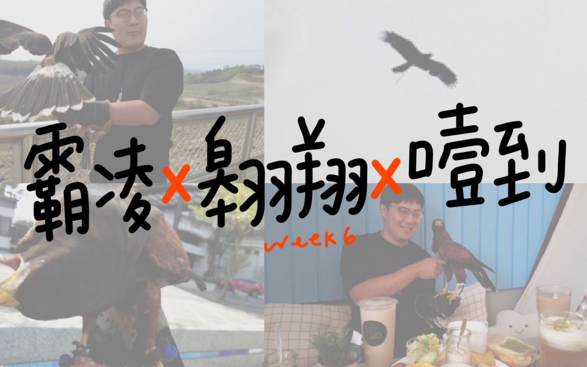 [图]波波被欺负x第一次翱翔x太大口噎到 | 波氏家族 popofamily