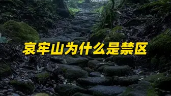 下载视频: 爆火的哀牢山有多危险？千万不要擅闯！