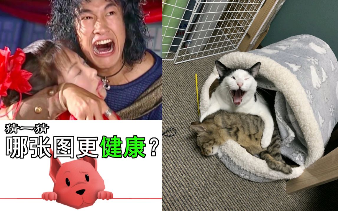 【灵犬反低俗助手】猜一猜,那张图更“健康”哔哩哔哩bilibili