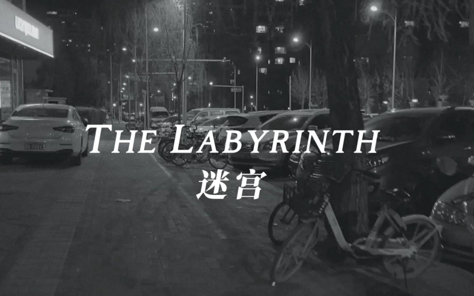 [图]【读诗】迷宫The Labyrinth - 博尔赫斯