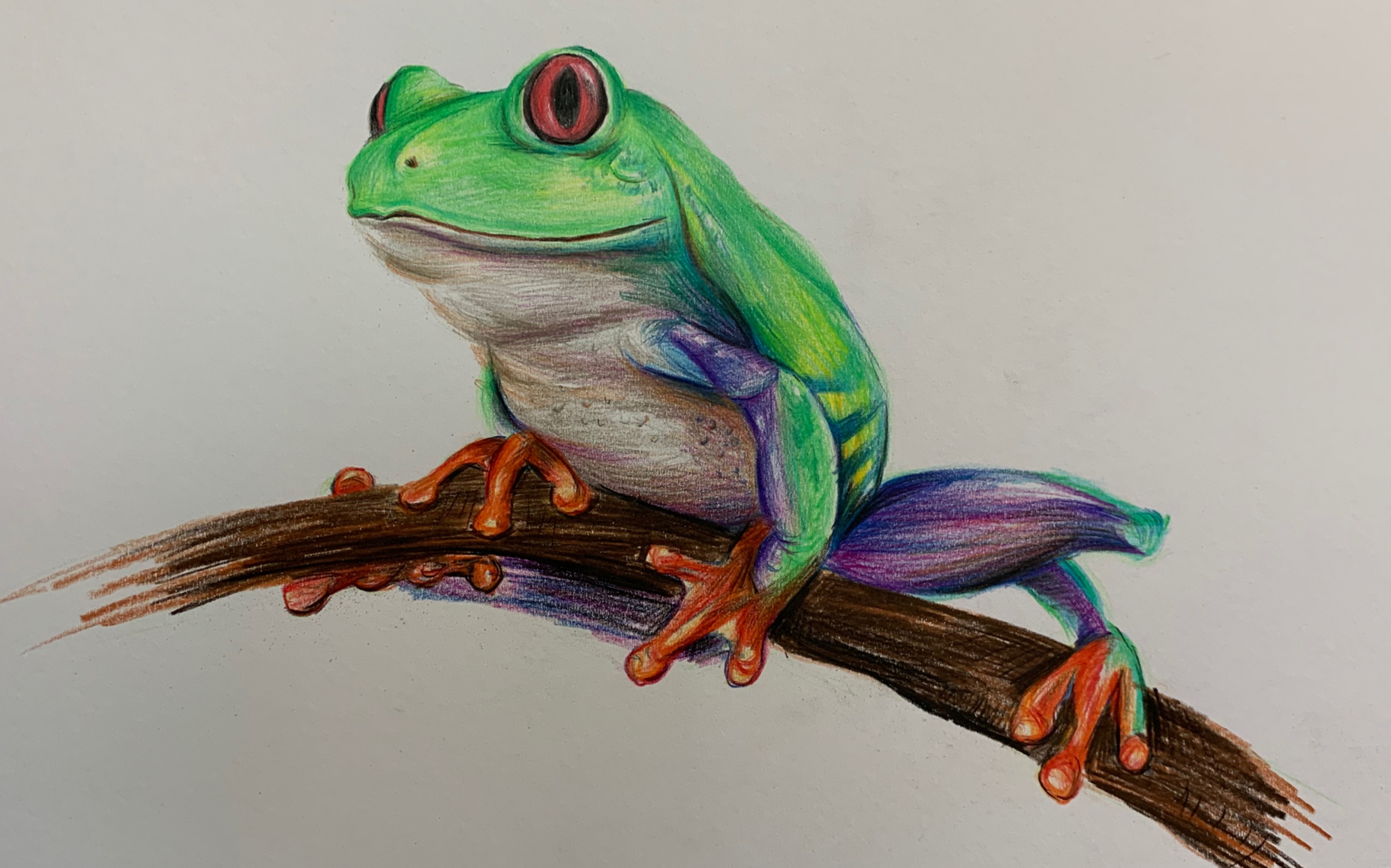 今天来个新鲜的,录了一个彩铅画青蛙