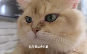 Tải video: 我的小猫咪眼睛有泪痕怎么办，看我的处理方法！