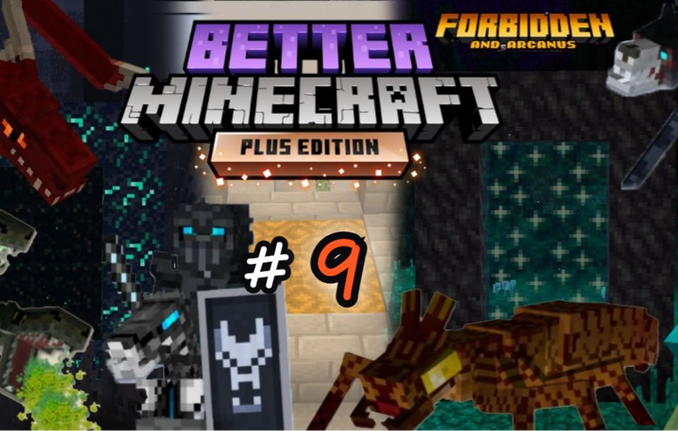 [图]【服务器日记】Better Minecraft Plus 更好的mcPlus #9