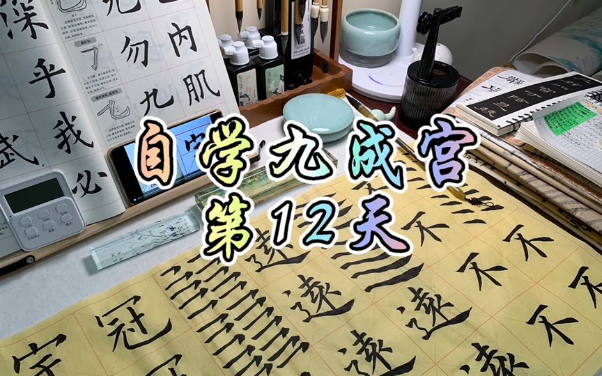 自学楷书第12天(欧阳询九成宫)|学习新笔画反捺、平捺、横钩、弯钩~哔哩哔哩bilibili