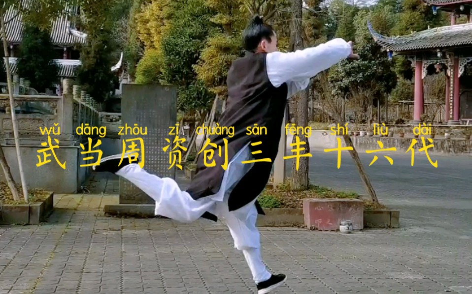 武当玄武拳
