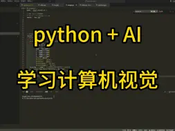 Descargar video: 【python + AI】学习yolo视频展示