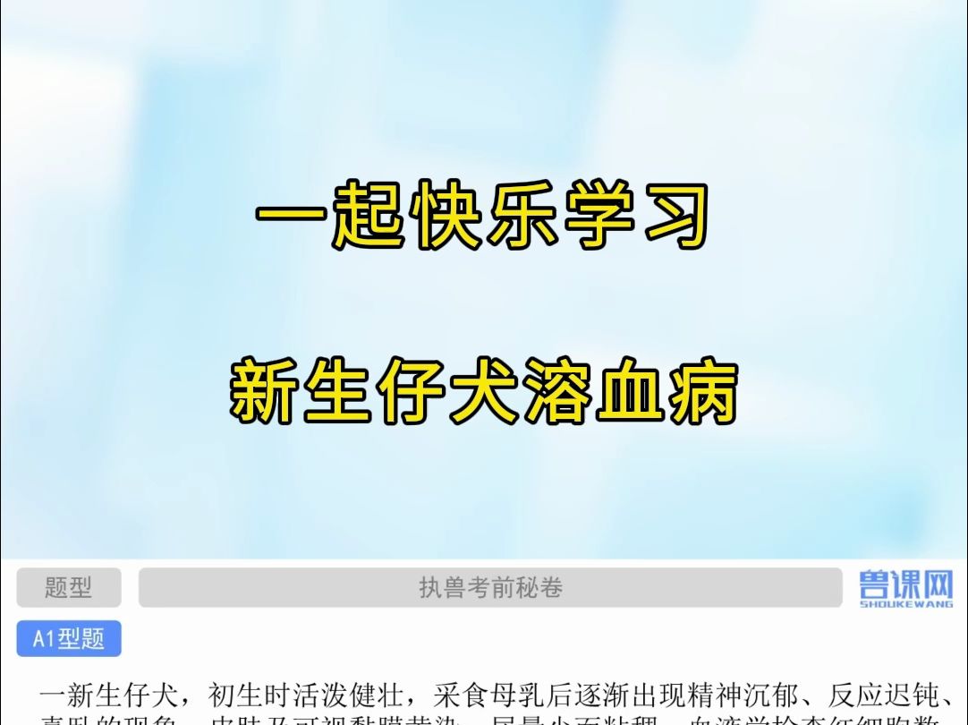 新生仔犬溶血病有哪些临床症状表现?搬好小板凳,快来听老师知识点详解!哔哩哔哩bilibili