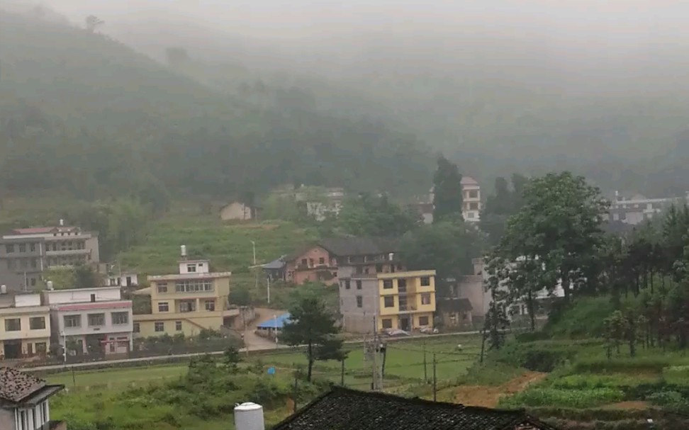 [图]南方山村，虫鸣鸟叫，鸡鸣狗吠，大自然的声音