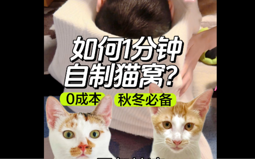 零成本自制猫窝|暖和简单1分钟搞定哔哩哔哩bilibili