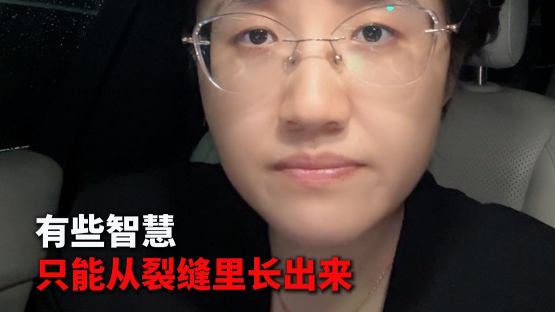 有些智慧 只能从裂缝里长出来