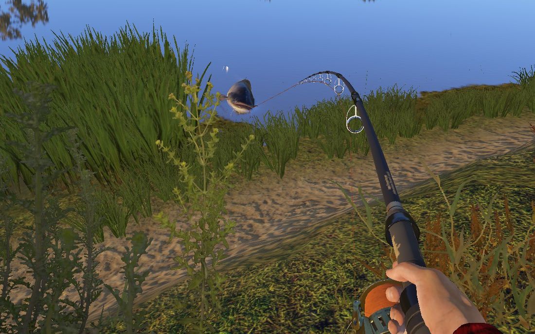 俄罗斯钓鱼4海竿星猪荣耀升级舒服了